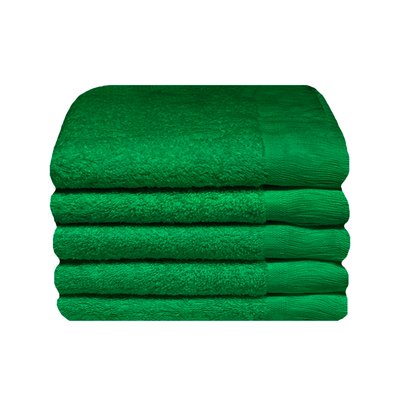Bunty Plush 100% Cotton Terry Fringe Guest Towel (Jolly Green)(Pack of 5)(380gsm) Image
