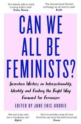 Can We All Be Feminists? Image