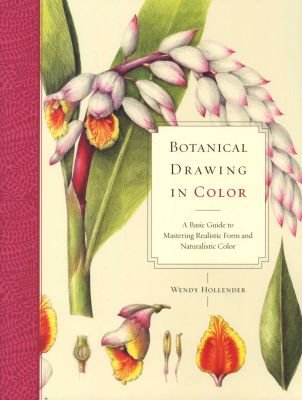 Botanical Drawing in Color Image