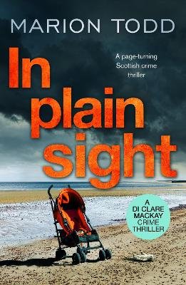In Plain Sight Image