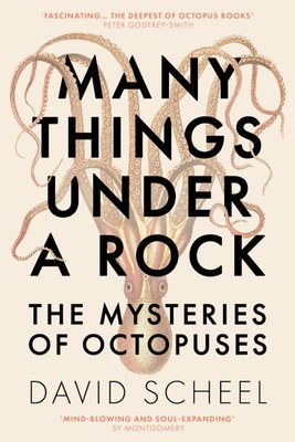 Many Things Under A Rock Image