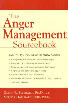 The Anger Management Sourcebook Image