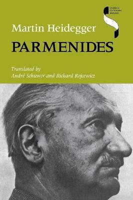 Parmenides Image