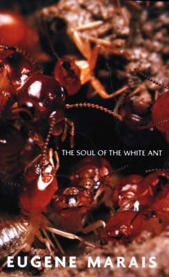 The Soul of the White Ant Image
