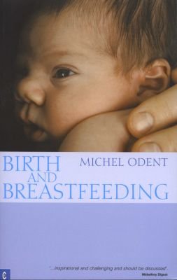Birth and Breastfeeding Image
