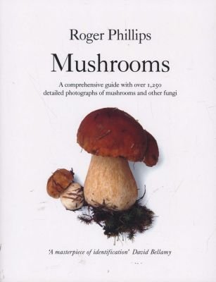 Mushrooms Image