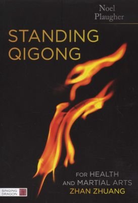Standing Qigong for Health and Martial Arts - Zhan Zhuang Image
