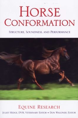 Horse Conformation Image