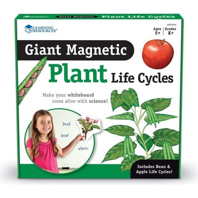 Learning Resources Giant Magnetic Plant Life Cycles Image
