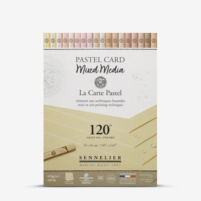 Sennelier Mixed Media Pastel Card Pad - Naples Yellow (12 Sheets)(410 gsm)(18 x 24cm) Image