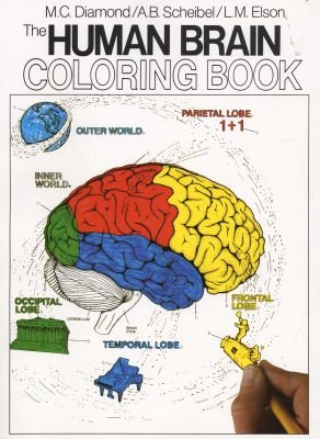 The Human Brain Colouring Book Image