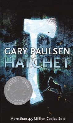 Hatchet Image