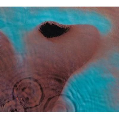 Meddle CD (2016) Image