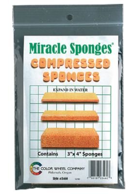 Color Wheel Company Miracle Sponge - 3x4in Image