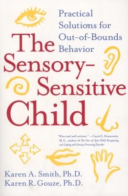 The Sensory-Sensitive Child Image