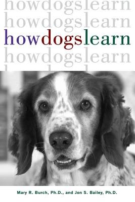How Dogs Learn Image