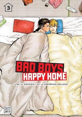 Bad Boys, Happy Home, Vol. 3 Image