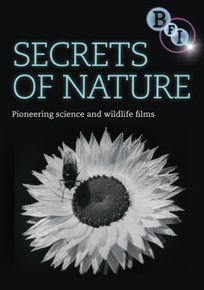 Secrets of Nature Image