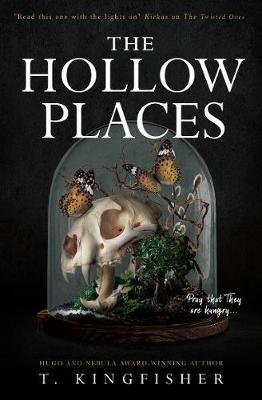 The Hollow Places Image