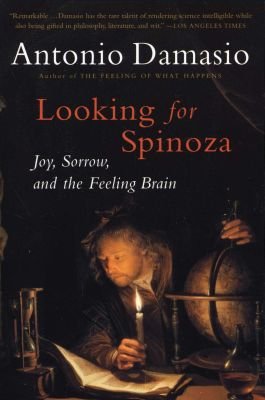 Looking for Spinoza Image