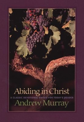 Abiding in Christ Image
