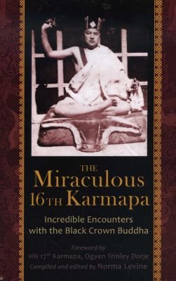 The Miraculous 16th Karmapa Image