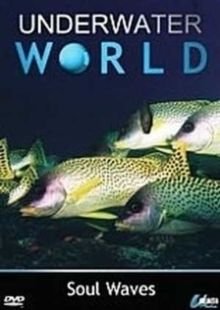 Underwater World: Soul Waves Image