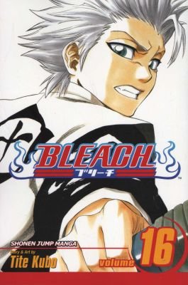 Bleach - Volume 16 Image