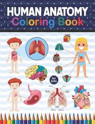 Human Anatomy Coloring Book For Kids Image
