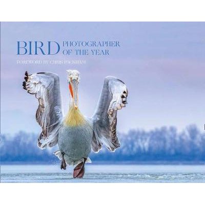 Bird Photographer of the Year Image