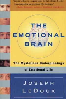 The Emotional Brain Image