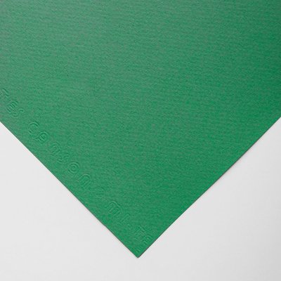 Canson Mi-Teintes Pastel Paper - Viridian 160gsm (55x75cm) Image