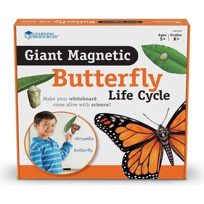 Learning Resources Giant Magnetic Butterfly Life Cycle Image