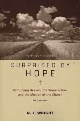 Surprised by Hope Bible Study Participant's Guide Image