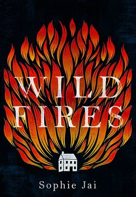 Wild Fires Image