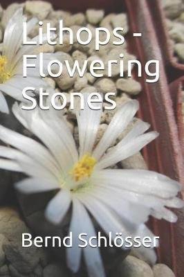 Lithops - Flowering Stones Image