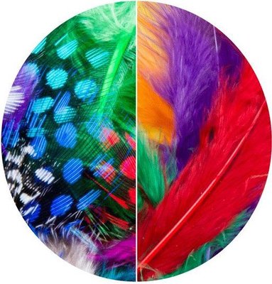 Dala Craft Feathers - Assorted (15cm)(20 Pack) Image