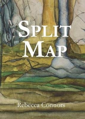 Split Map Image