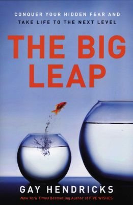 The Big Leap Image