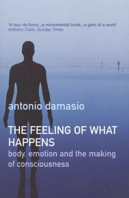 The Feeling of What Happens Image