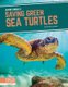 Saving Animals: Saving Green Sea Turtles (Paperback): Martha London