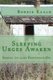 Sleeping Urges Awaken - sequel to 2500 Fruitdale Dr. (Paperback): Bobbie Kaald