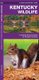 Kentucky Wildlife - A Folding Pocket Guide to Familiar Species (Pamphlet): James Kavanagh, Waterford Press