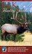 Elk Hunting Secrets (Paperback): The Rocky Mountain Elk Foundation