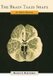 The Brain Takes Shape - An Early History (Hardcover, New): Robert L. Martensen