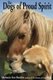 The Dogs of Proud Spirit (Hardcover): Melanie Sue Bowles