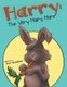 Harry - the Very Hairy Hare (Paperback): Dan Wohlleber