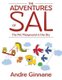 The Adventures of Sal - The Pet Playground in the Sky (Paperback): Andre Ginnane