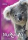 Marsupials (Hardcover): Madeline Tyler