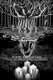 Poetry And The Like From The Mind Of William Malave (Paperback): William Malave